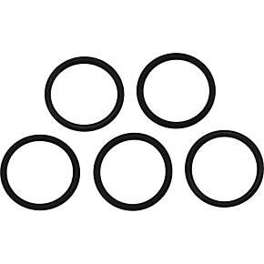 Thermostat O-Ring 10969