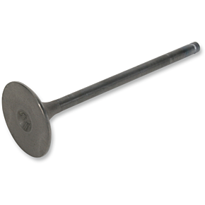 Intake Valve 28.1495-2