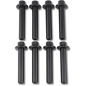 Ss Cycle Head Bolt Kit - 12-Point - M8 900-1006