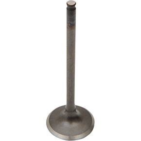 Intake Valve 28.1227-2