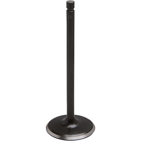 Intake Valve - Raptor 700 - 39mm 80-80431