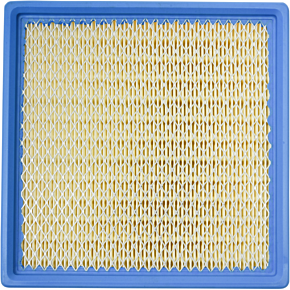 Air Filter - Polaris 48-1025