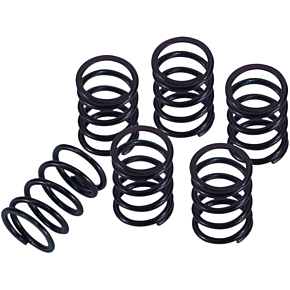 Clutch Spring Kit 501-31-06146