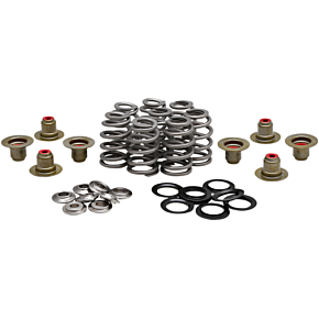 Kibblewhite Beehive Spring Kit - .625" - M8 20-21800
