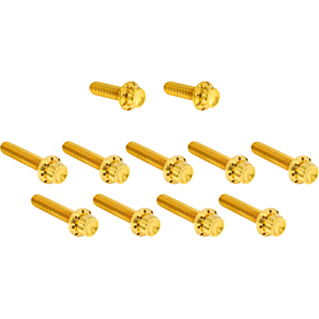 Bolt Kit - Cam Cover/Point Cover - Titanium - 12-Point - Gold 300-982