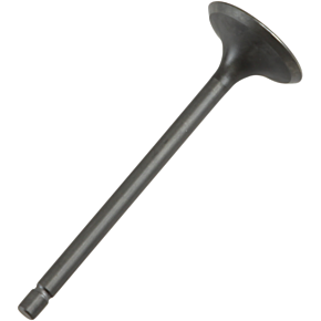 Intake Valve 28.1381-2
