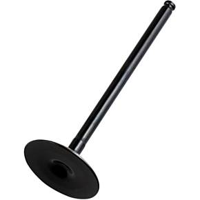 Intake Valve 8400008-2