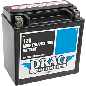 AGM Battery - YTX14LBS 2113-0213