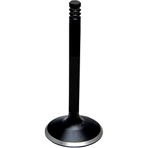 Intake Valve 90-9035