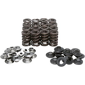 Valve Spring Kit 60-1006