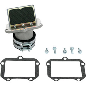 Rad Valve Reed Cage Assembly - KTM RAD42X