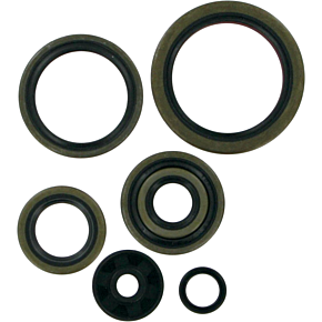 Moose Racing Motor Seals 250/300SX,EXC