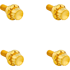 Bolt Kit - Windshield - 12-Point - Titanium - Gold 300-811