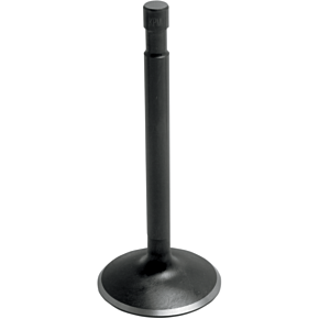 Intake Valve 70-4229
