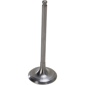 Center Intake Valve - Yamaha 80-80215T