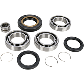 Moose Racing Rear Differential Bearing and Seal Kit - Honda