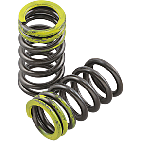 Intake Valve Springs PSIMX2104