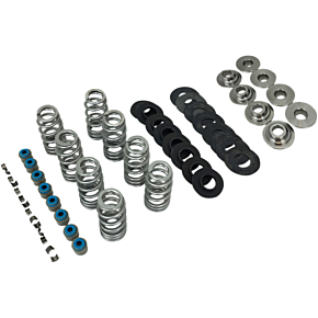 Beehive Valve Spring Kit - M8 1108