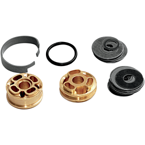 Race Tech Gold Valve Fork Kit