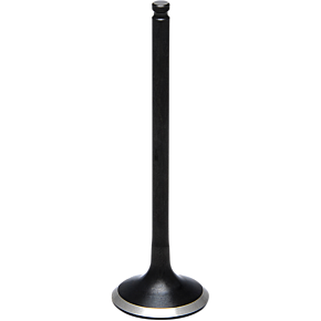 Center Intake Valve 80-80283