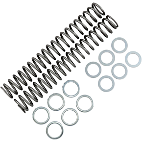 Race Tech Fork Springs - 0.85 kg/mm