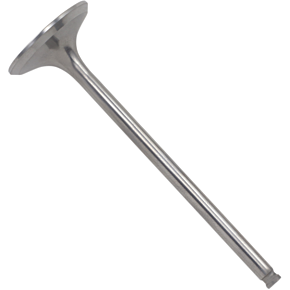 Exhaust Valve DW-CRF250R-EV08
