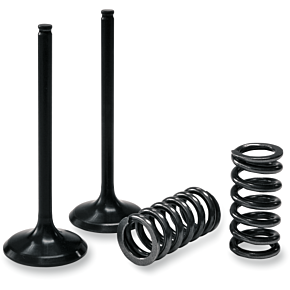 Valve and Spring Kit 28.SIS4336-2