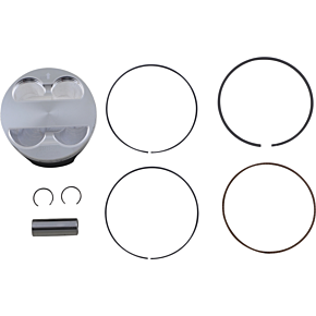 Piston Kit 8895DB