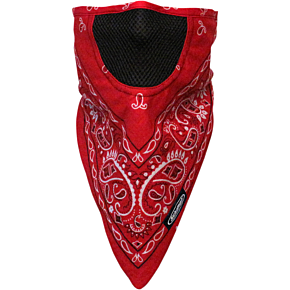 Face Mask - Facefit - Red Paisley FMV-225