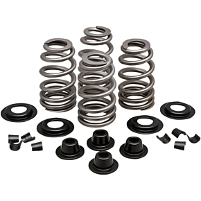 Spring Kit - .610" - Evolution/Twin Cam 20-21300