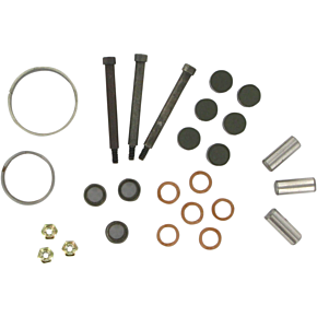 Epi Clutch Rebuild Kit WE210165