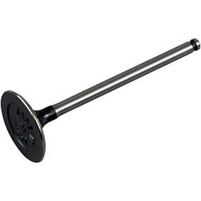 Prox Intake Valve 28.1226-2