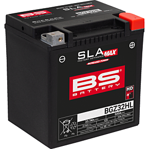 Battery - BGZ32HL (GYZ) 300935
