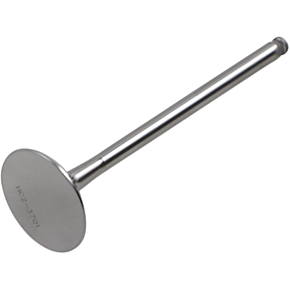 Exhaust Valve DW-KX250FEV04ND