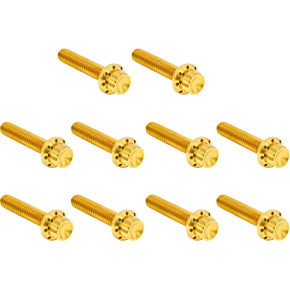 Bolt Kit - Cam Cover/Point Cover - Titanium - 12-Point - Gold 300-988