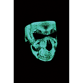 Full-Face Mask - Face Glow WNFM002G