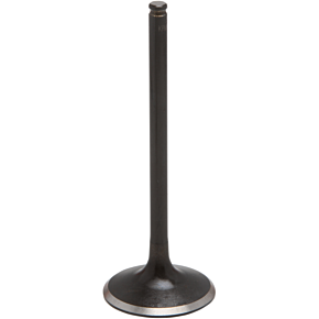 Kibblewhite Intake Valve 30-33662