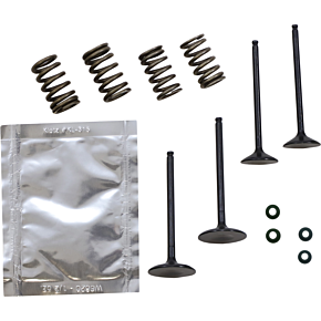 Valve Kit SVKB2414