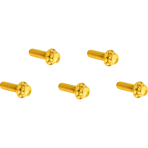 Bolt Kit - Derby Cover - 12-Point - Titanium - Gold 300-940