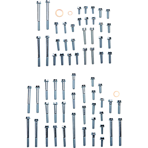 Engine Fastener Kit E-KTM2-0316