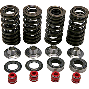 Spring Kit 30-30590