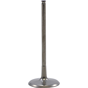 Valve - Intake - Tensilite® 40-41612T