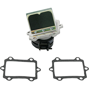 Rad Valve Reed Cage Assembly - Suzuki RAD24XA