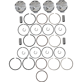 Piston Kit 284718