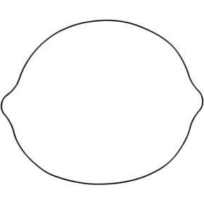Moose Racing Clutch Cover Gasket - RM250
