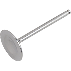 Intake Valve DWLTR4501IV11HF