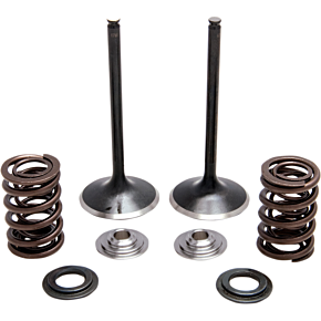 Spring Kit - Stainless Steel 30-31230