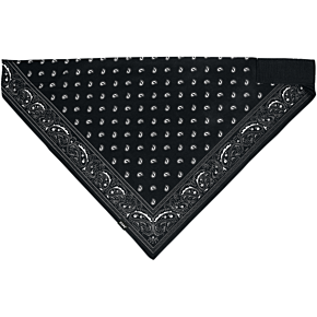 SportFlex® Bandana - Black Paisley BL101