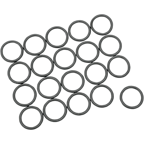 O-Ring 405