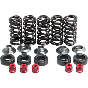 Valve Spring Kit 80-80100